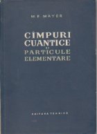 Cimpuri cuantice particule elementare