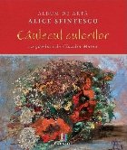 Cântecul culorilor album artă