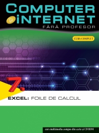 Computer si internet, vol. 7, Excel: foile de calcul