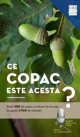 Ce copac este acesta?