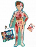 coperta Corpul Uman. Calatoreste, invata, exploreaza