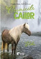 Cronicile cailor : Elska