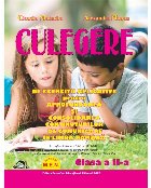 coperta Culegere de exercitii aplicative pentru aprofundarea si consolidarea continuturilor de comunicare in limba rom