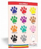 Culorile plansa 50x70 Proiecte Tematice