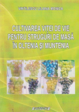 Cultivarea vitei de vie pentru struguri de masa in Oltenia si Muntenia
