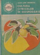 Cultura citricelor in gospodarie