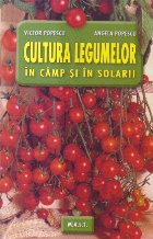 Cultura legumelor in camp si in solarii