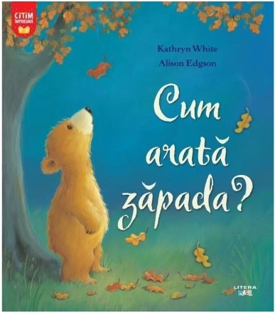 Cum arată zăpada?