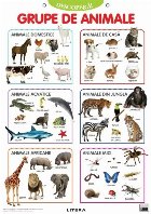 Descoperă! : Grupe de animale