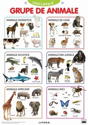 Descoperă! : Grupe de animale