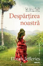 Despărţirea noastră