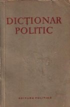 Dictionar politic