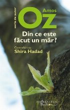 Din ce este facut un mar? Convorbiri cu Shira Hadad