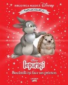 Disney Iepuraşi : Bocănilă îşi face un prieten Disney Iepuraşi : Bocănilă îşi face un prieten