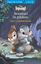 Disney - Iepuraşi : o noapte înfricoşătoare