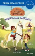 Disney Prinţese Trei dorinţe Miraculosul