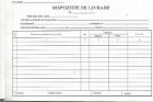 coperta Dispozitie de livrare