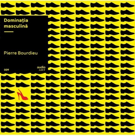 Dominația masculină | vinil audiobook