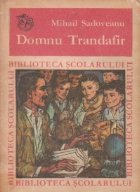 coperta Domnu Trandafir