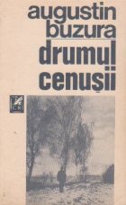 Drumul cenusii