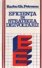 Eficienta in strategia dezvoltarii
