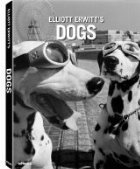 Elliott Erwitt Dogs