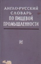 English-Russian Dictionary of Food Industry / Anglo-Ruskii Slovar po Pisceboi Promislennosti (Dictionar englez