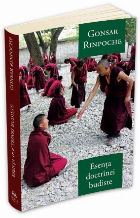 Esenta doctrinei budiste