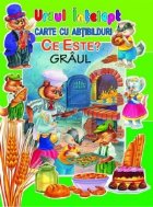 coperta Ce este? Graul (carte cu abtibilduri)