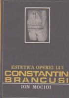Estetica operei lui Constantin Brancusi