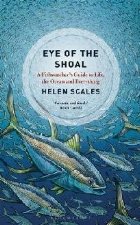 Eye of the Shoal