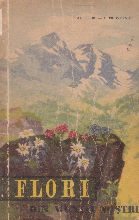 Flori din muntii nostri