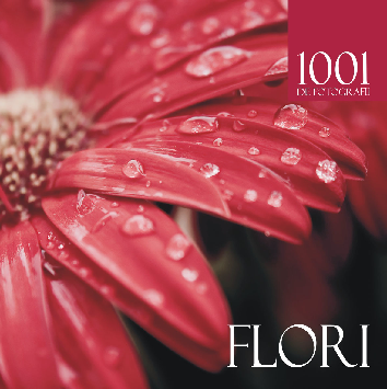 Flori