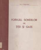 coperta Forajul sondelor de titei si gaze (Traducere din limba rusa)