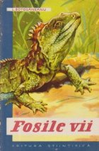 Fosile vii