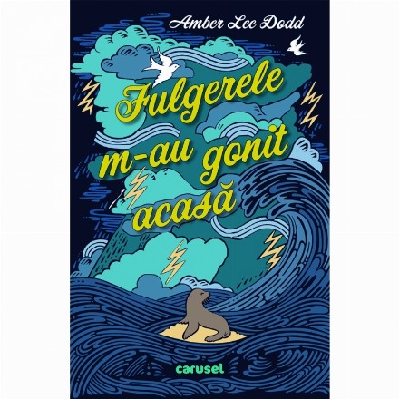 Fulgerele m-au gonit acasa