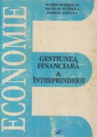 Gestiunea financiara intreprinderii