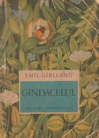 Gindacelul