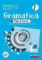 Gramatică Fișe lucru (pe lecții