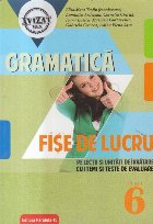 Gramatica Fise lucru lectii unitati