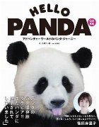 Hello Panda Cake