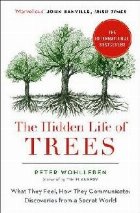 Hidden Life Trees
