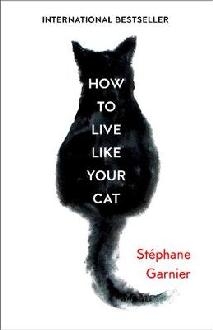 How to Live Like Your Cat
