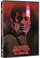 coperta Identitate in deriva