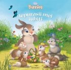 coperta Iepurasii mei iubiti