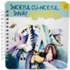 coperta Incetul cu incetul invat alfabetul