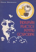 coperta Indrumari practice pentru gospodine