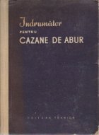 Indrumator pentru cazane abur