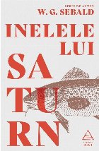 Inelele lui Saturn