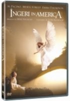 coperta Ingeri in America